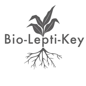 Bio-Lepti-Key Grey