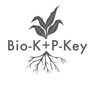 Bio-K+P-Key Grey